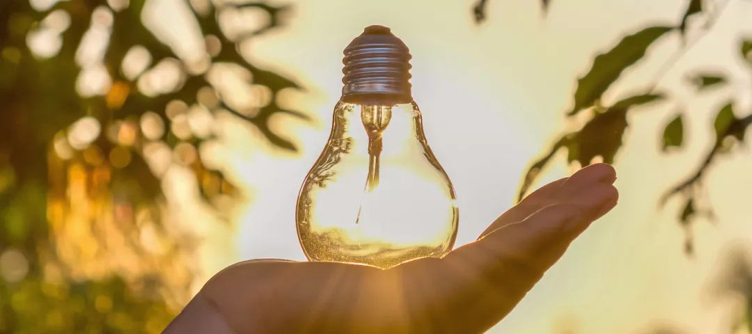 A hand holds a light bulb against a backdrop of trees during sunset, with sunlight streaming through the bulb.